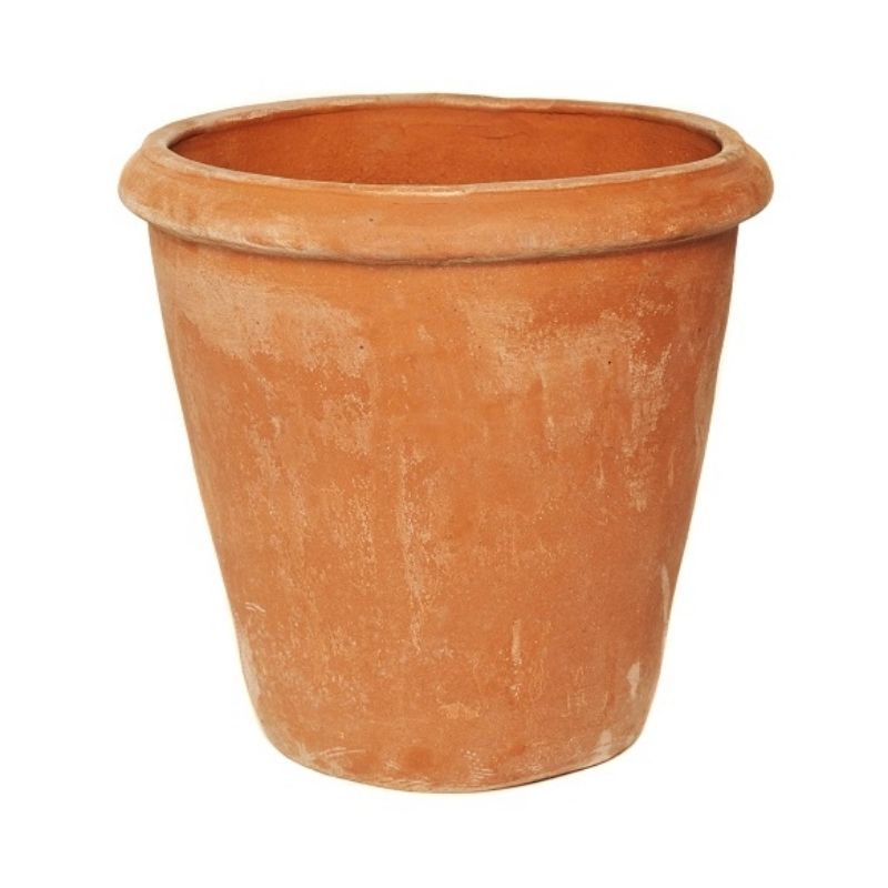 Terracotta Camelia Pot