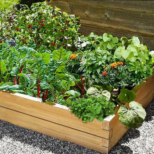 Wooden Raised Beds  (6ft x 8ft)