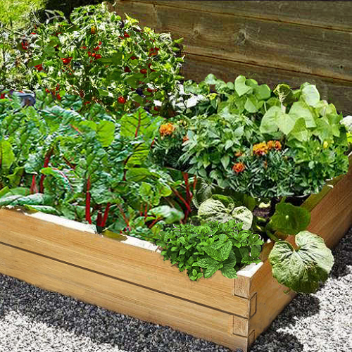 Wooden Raised Beds 