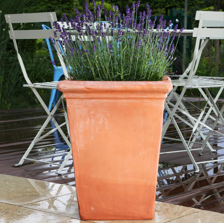 Terracotta Camelia Square Planters (40cm x 40cm x 50cm High)