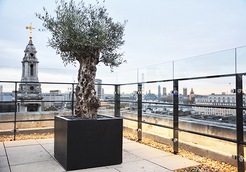 Polystone Large Tree Square  Planter