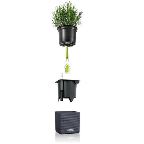 Lechuza Green Wall Home Kit Colour  (White)