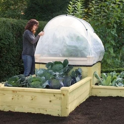 Superior Wooden Raised Beds (2ft x 2ft, 20cm)