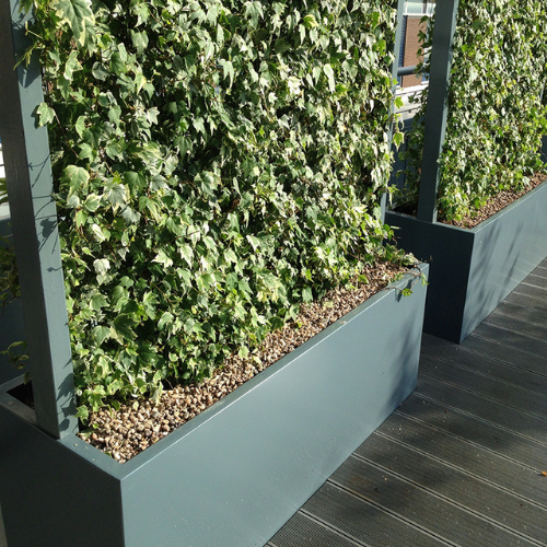 GRP Trough for Ivy Screens WITH posts (Graphite)