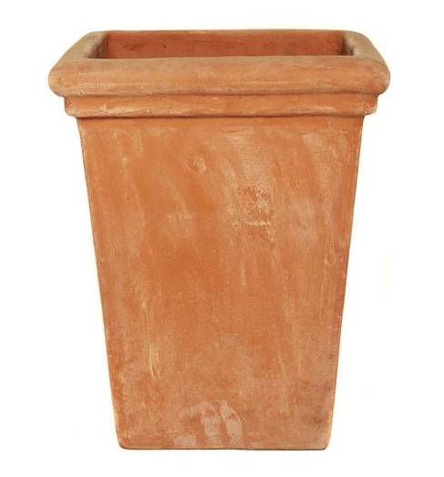 Terracotta Camelia Square Planter