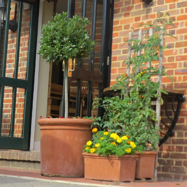 Terracotta Fresco Round Planter