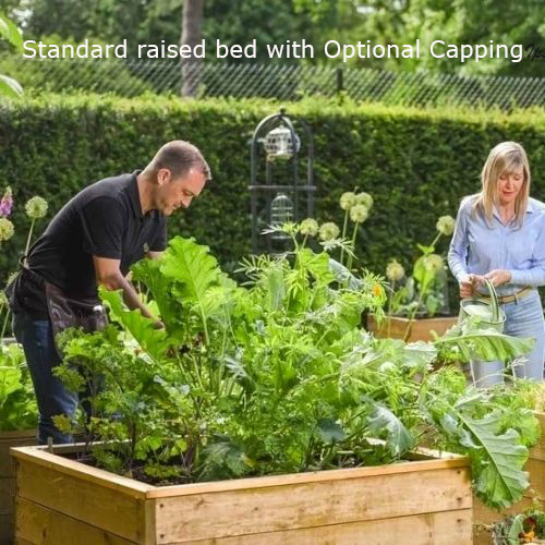 Standard Wooden Raised bed (2ft x 2ft, 30cm)