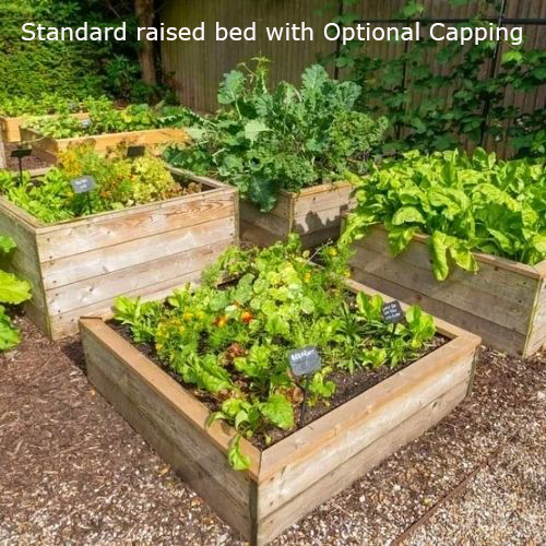 Standard Wooden Raised bed (2ft x 2ft, 30cm)