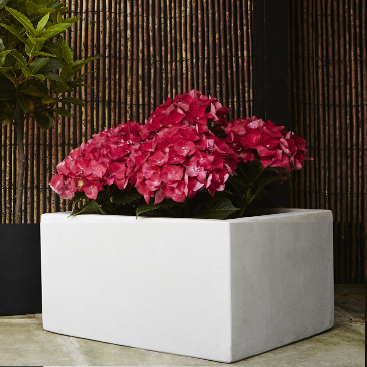 Polystone Low Cube Planter (Grey, 52L x 52W x 25Hcm)