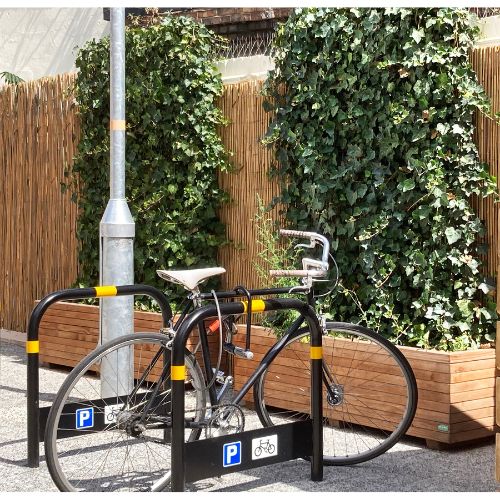 Ivy Screen Hedera helix Woerner (180cm high x 120cm wide)
