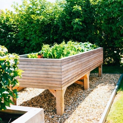 Extra Large Larch Vegetable Trough on Legs ( 220L x 60W x 48/90H cm)