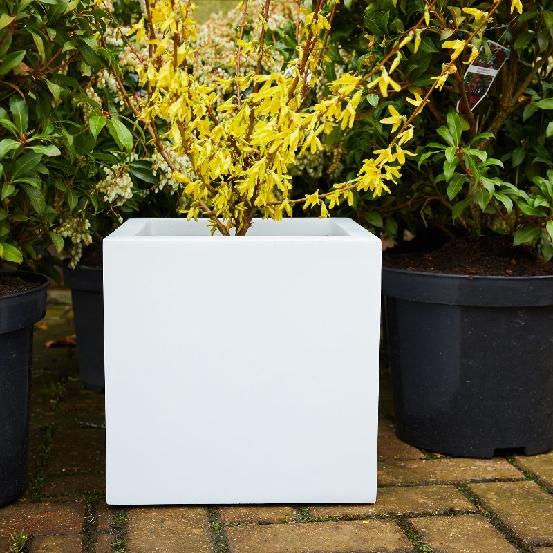Fibrestone Contemporary Box Planter (50 x 50 x 50cm, White)