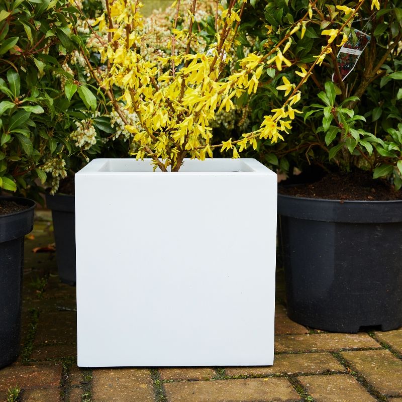 Fibrestone Contemporary Box Planter (60 x 60 x 60cm, White)