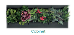 Flourish Pico Cabinet Living Wall Art  (Triple)