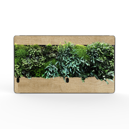 Flourish Pico Flow Living Wall Art  (Double)