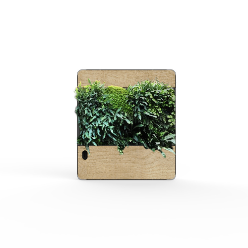 Flourish Pico Flow Living Wall Art  (Single)