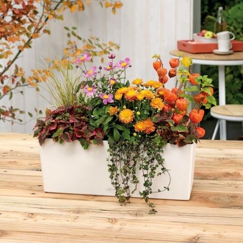 Lechuza Balconera Color PAIR (50 x 19 x 19 cm Coral Red)
