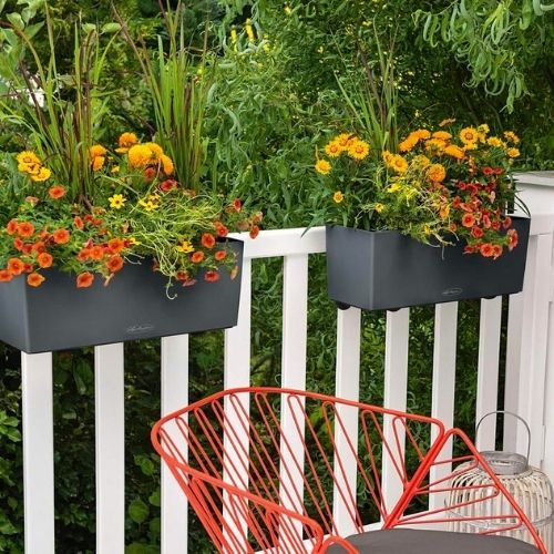 Lechuza Balconera Color PAIR (50 x 19 x 19 cm Light Grey)