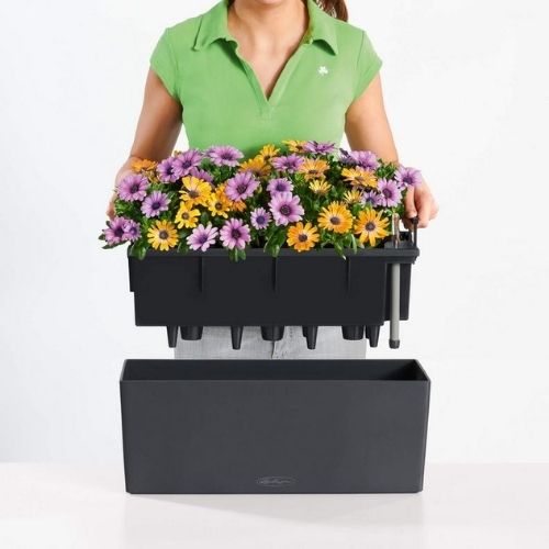 Lechuza Balconera Color PAIR (50 x 19 x 19 cm Petrol Blue)
