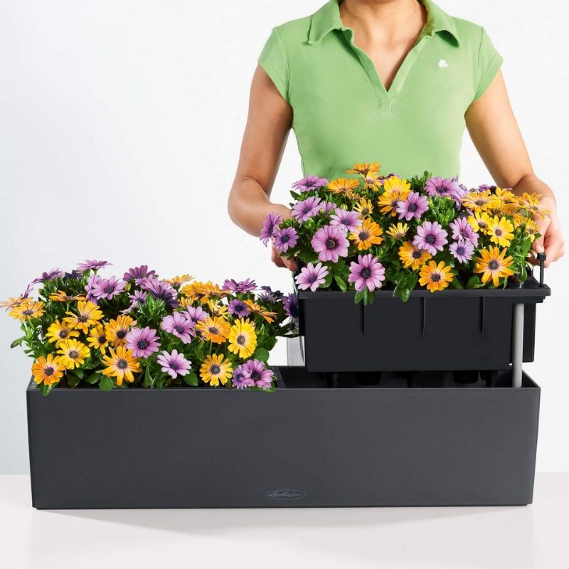 Lechuza Balconera Color PAIR (80 x 19 x 19 cm, Nutmeg)