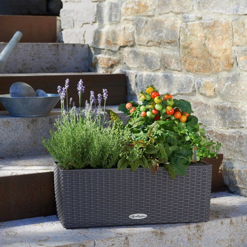 Lechuza Balconera Cottage (50 x 19 x 19 cm, Granite)