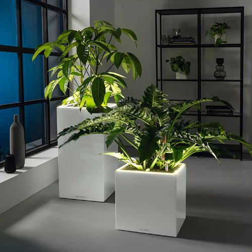 Lechuza CANTO Premium low LED Self-Watering Planters (CANTO Premium 40 low, Charcoal Metallic)