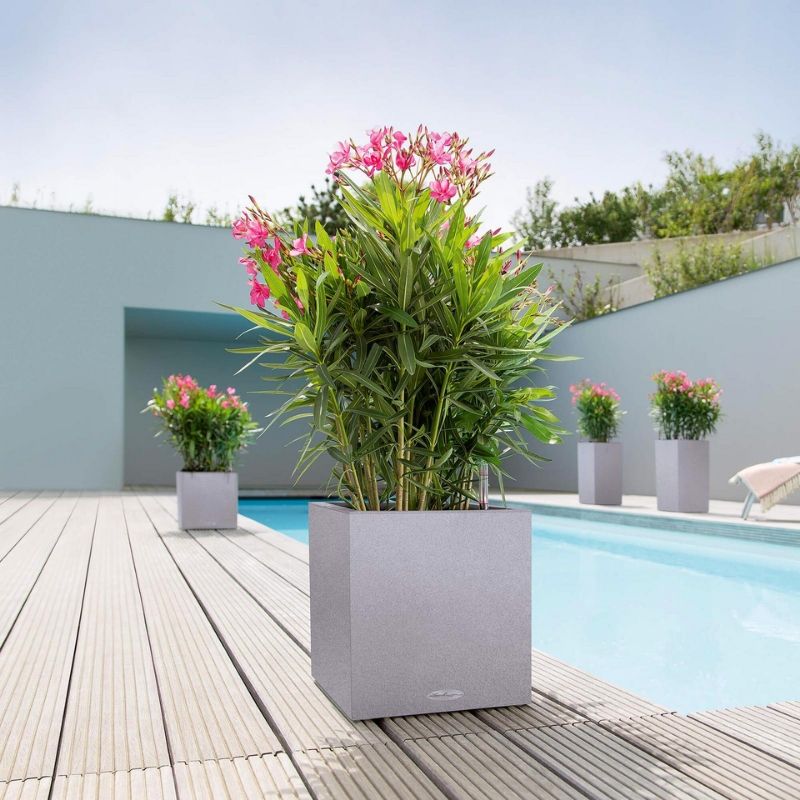 Lechuza CANTO Stone Low (CANTO Stone 30 low, Sand Beige)