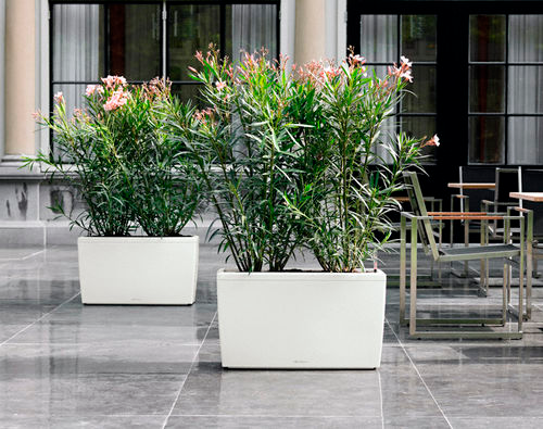 Lechuza CARARO Self Watering Planters  (White High Gloss)