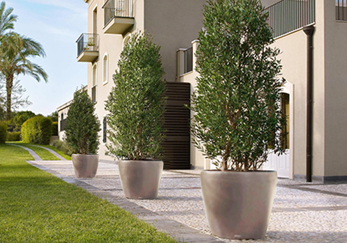 Lechuza CLASSICO Large Tree Planters (Lechuza CLASSICO 60, White)