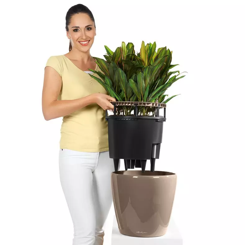 Lechuza CLASSICO LS PREMIUM Self-Watering Planter  (Shiny Taupe, CLASSICO LS 35)