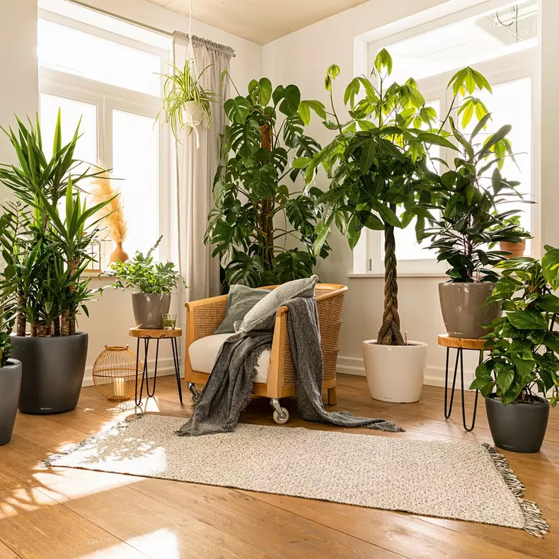 Lechuza CLASSICO LS PREMIUM Self-Watering Planter  (Shiny Taupe, CLASSICO LS 35)