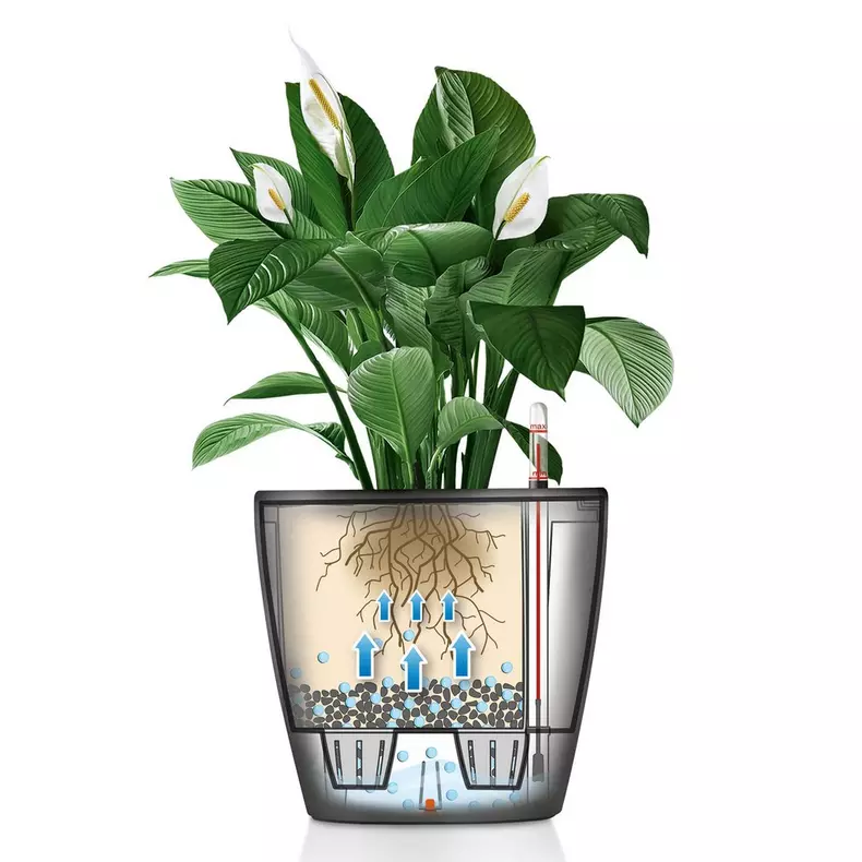 Lechuza CLASSICO LS PREMIUM Self-Watering Planter  (White High-Gloss, CLASSICO LS 35)