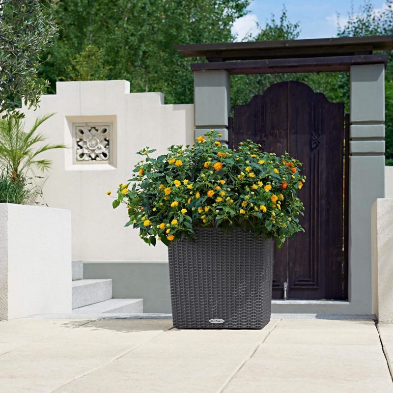 Lechuza CUBE Cottage (CUBE Cottage 40, Granite)