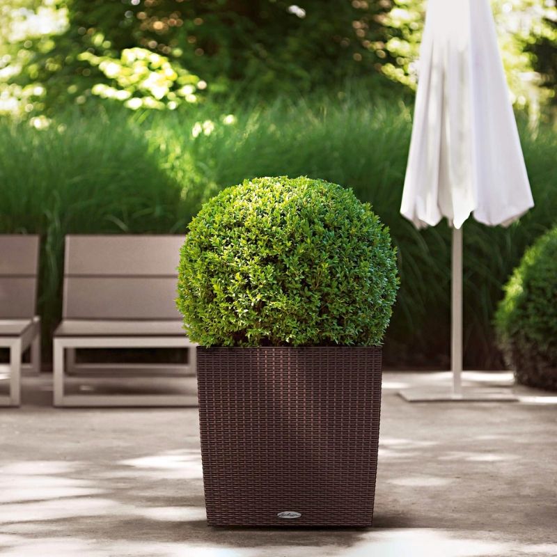 Lechuza CUBE Cottage (CUBE Cottage 50, Granite)
