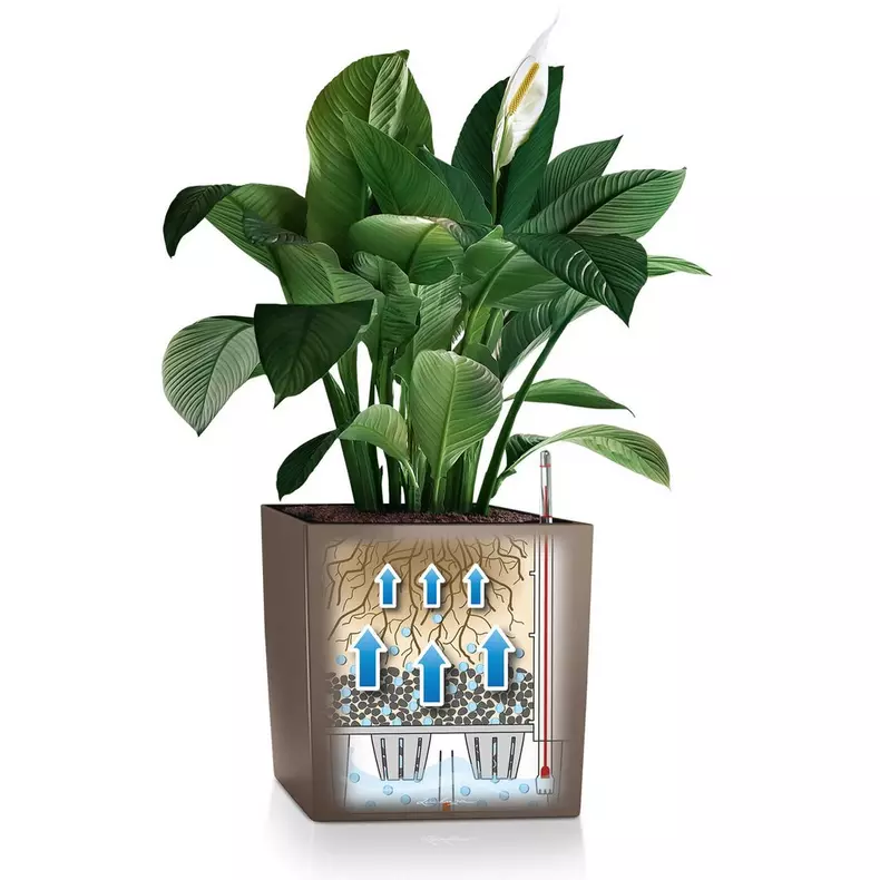 Lechuza CUBE Self Watering Planters (CUBE 40, Charcoal Metallic)