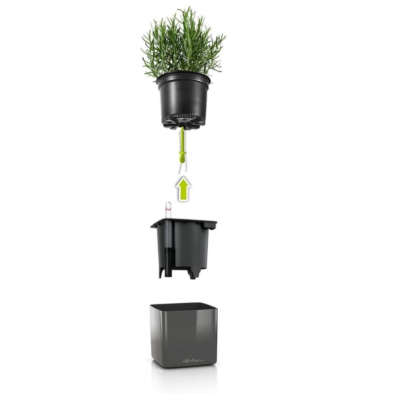 Lechuza Green Wall Home Kit Glossy (Charcoal High Gloss)