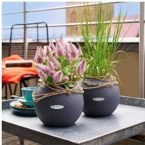 Lechuza PURO 20 self watering pot (Sand Brown)