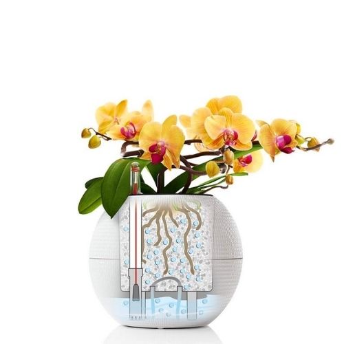 Lechuza PURO 20 self watering pot (Sand Brown)