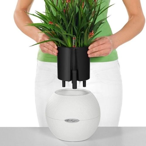 Lechuza PURO 20 self watering pot (White)