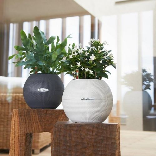 Lechuza PURO 20 self watering pot (White)