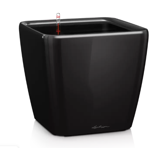 Lechuza QUADRO LS Premium Self Watering Planter  (QUADRO LS 35, Black High-gloss)