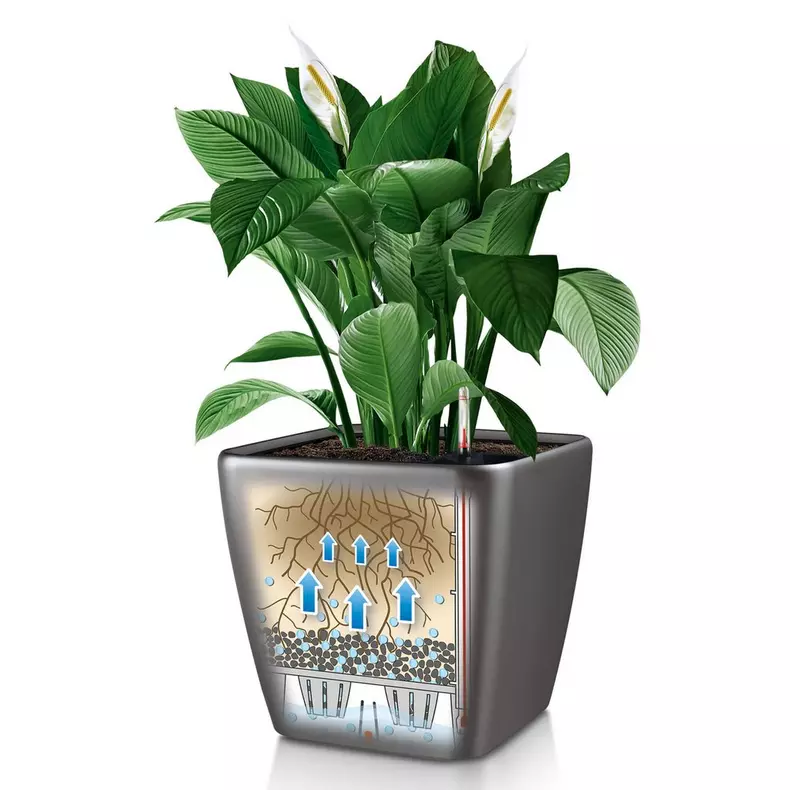 Lechuza QUADRO LS Premium Self Watering Planter  (QUADRO LS 35, Black High-gloss)