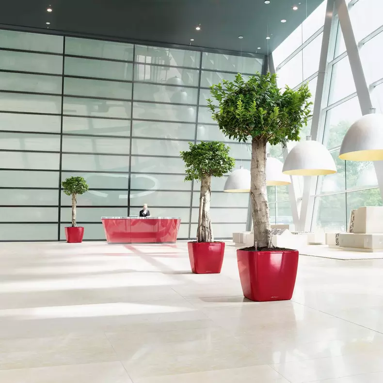 Lechuza QUADRO LS Premium Self Watering Planter  (QUADRO LS 43, Scarlet Red High Gloss)