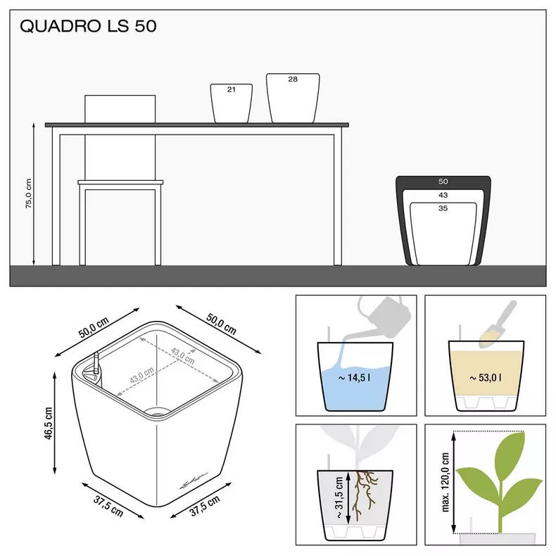 Lechuza QUADRO LS Premium Self Watering Planter  (QUADRO LS 50, Black High-gloss)