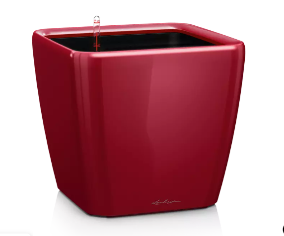 Lechuza QUADRO LS Premium Self Watering Planter  (QUADRO LS 50, Scarlet Red High Gloss)