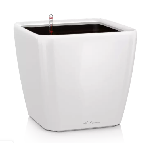 Lechuza QUADRO LS Premium Self Watering Planter  (QUADRO LS 50, White High Gloss)
