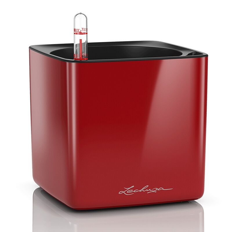 Lechuza TABLE Cube Glossy (CUBE Glossy 14, Scarlet Red High Gloss)