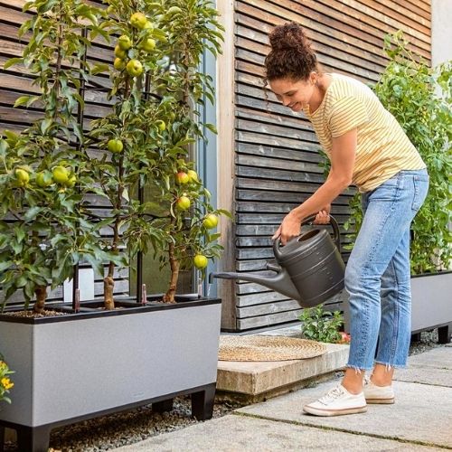 Lechuza TRIO Stone Self Watering Trough (Graphite Black)