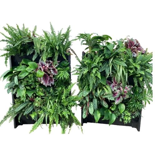 PlantBox Living Wall Troughs - Set of 10