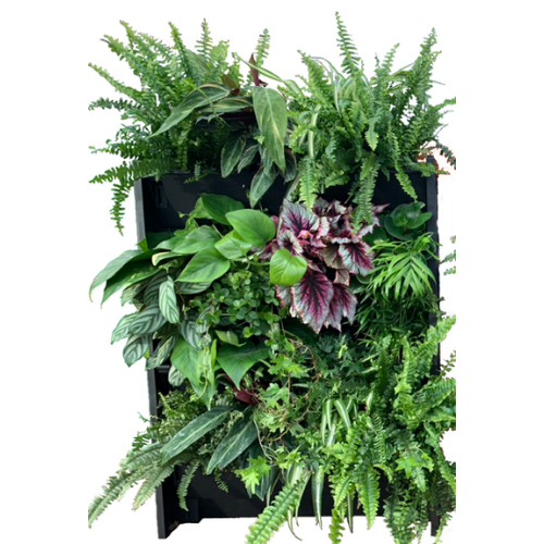 PlantBox Living Wall Troughs - Set of 5